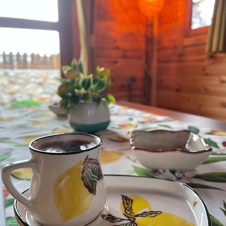 Andizalti Doga Evleri Limon Ev Datca Villa Ngoại thất bức ảnh