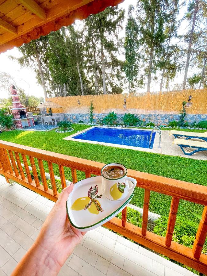 Andizalti Doga Evleri Limon Ev Datca Villa Ngoại thất bức ảnh